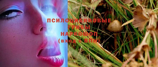 Альфа ПВП Армянск