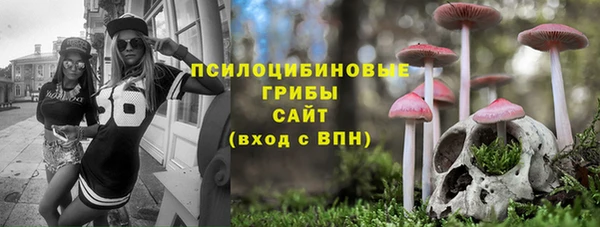 Альфа ПВП Армянск