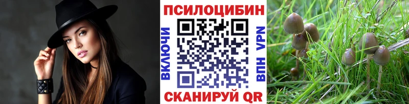 сайты даркнета Telegram  Сафоново  Галлюциногенные грибы Magic Shrooms 